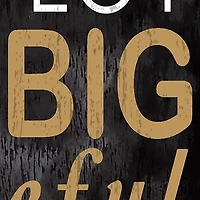 NHL Anaheim Ducks 11 in x 19 in In This House Sign