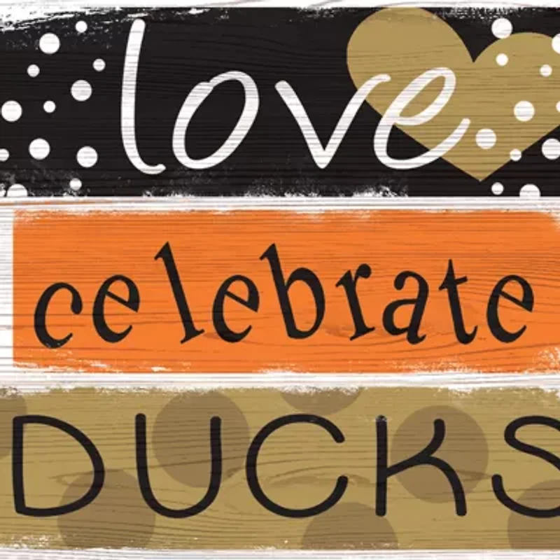 NHL Anaheim Ducks 24 Inch Celebrations Stack Sign