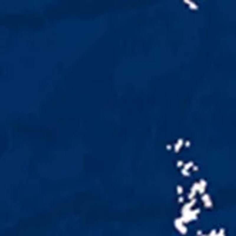 MLB Houston Astros 24 Inch Established Date Round Sign