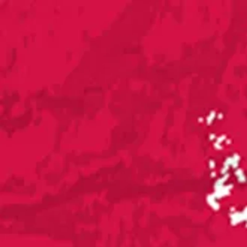 MLB St. Louis Cardinals 24 Inch Est. Date Round Sign