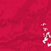 MLB St. Louis Cardinals 24 Inch Est. Date Round Sign