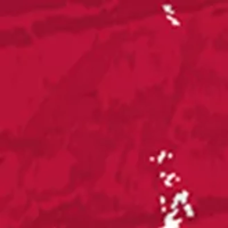 MLB Arizona Diamondbacks 24 Inch Established Date Round Sign