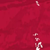 MLB Arizona Diamondbacks 24 Inch Established Date Round Sign