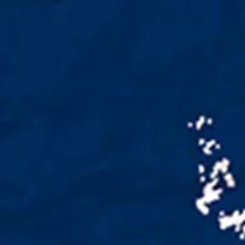 MLB Cleveland Indians 24 Inch Established Date Round Sign