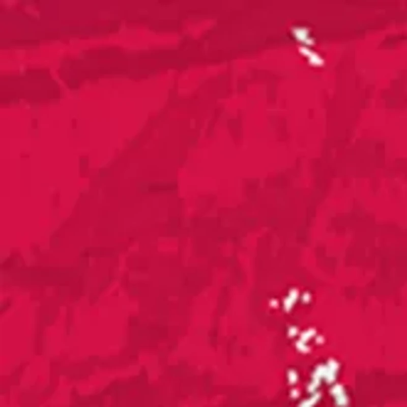 MLB Washington Nationals 24 Inch Established Date Round Sign