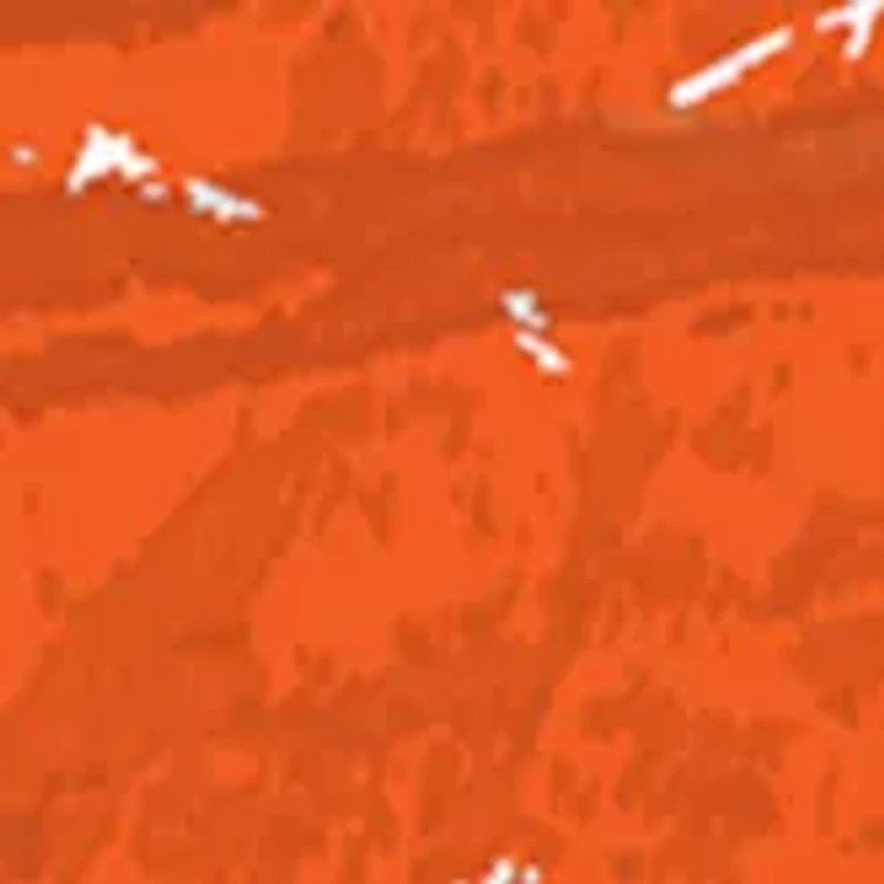 MLB Baltimore Orioles 24 Inch Established Date Round Sign