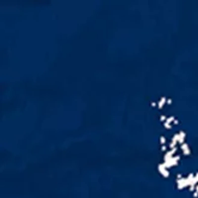 MLB Tampa Bay Rays 24 Inch Established Date Round Sign