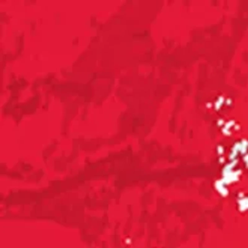 MLB Boston Red Sox 24 Inch Established Date Round Sign