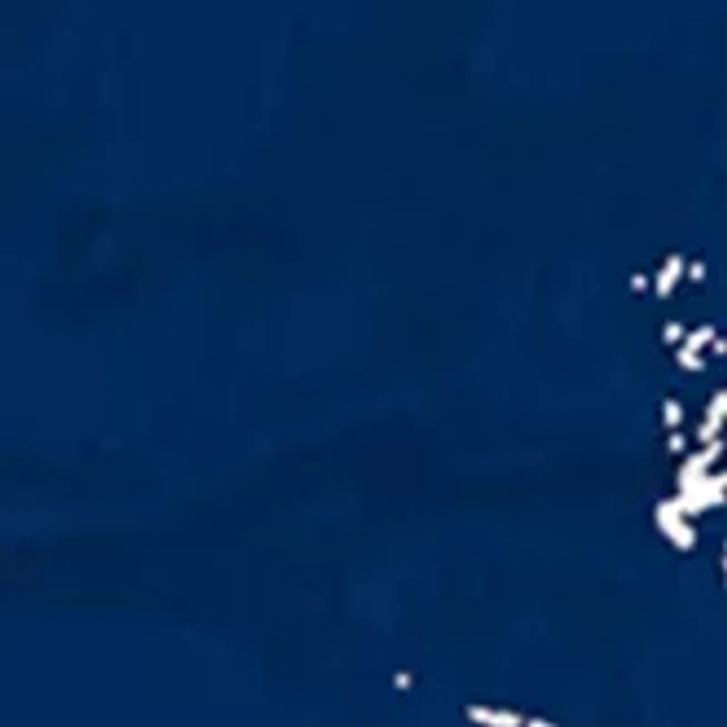 MLB Detroit Tigers 24 Inch Established Date Round Sign