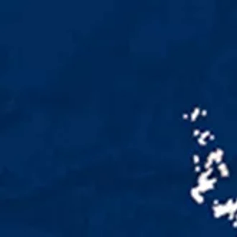 MLB New York Yankees 24 Inch Established Date Round Sign