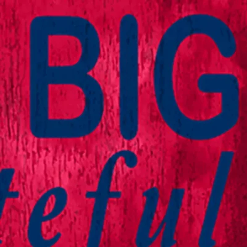 MLB Washington Nationals In This House Sign