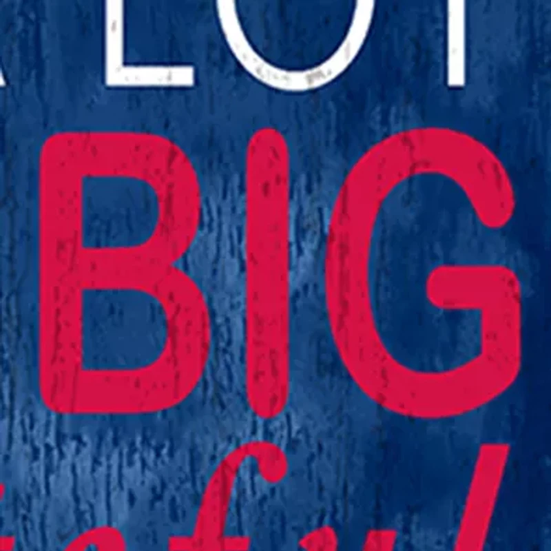 MLB Minnesota Twins In This House Sign
