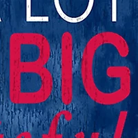 MLB Minnesota Twins In This House Sign