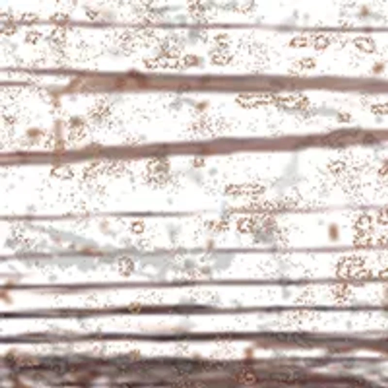 MLB St. Louis Cardinals Distressed Logo Cutout Sign