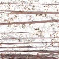 MLB St. Louis Cardinals Distressed Logo Cutout Sign