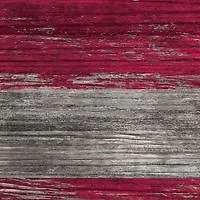 MLB Los Angeles Angels 11 in x 19 in Distressed Flag