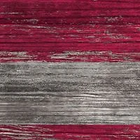 MLB Atlanta Braves 11 in x 19 in Distressed Flag 