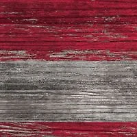 MLB Chicago Cubs 11 in x 19 in Distressed Flag