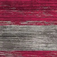 MLB Cleveland Indians 11 in x 19 in Distressed Flag Sign