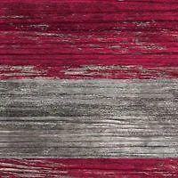 MLB Washington Nationals 11 in x 19 in Distressed Flag