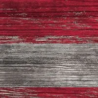MLB Boston Red Sox 11 in x 19 in Distressed Flag