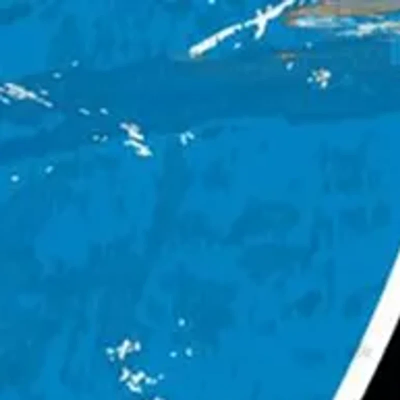 NFL Carolina Panthers Round Distressed Sign