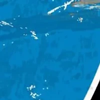 NFL Carolina Panthers Round Distressed Sign