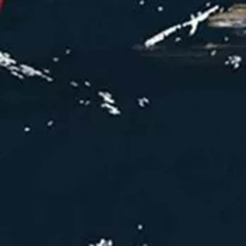 NFL Houston Texans Round Distressed Sign