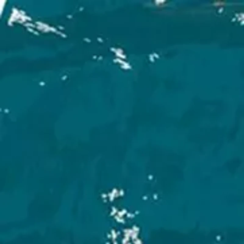 NFL Jacksonville Jaguars Round Distressed Sign