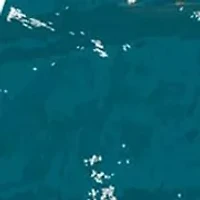 NFL Jacksonville Jaguars Round Distressed Sign