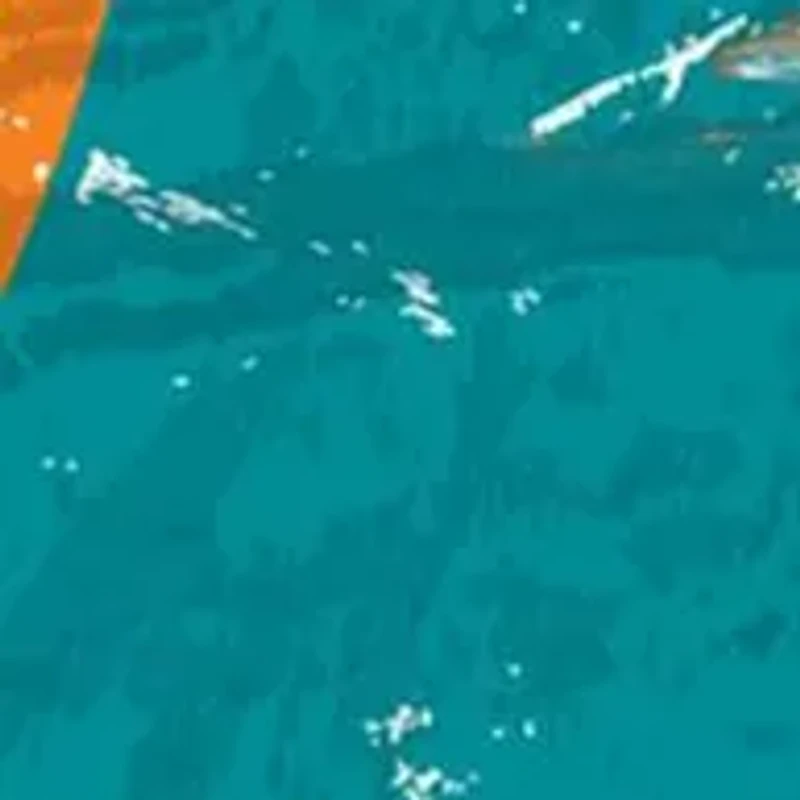 NFL Miami Dolphins Round Distressed Sign