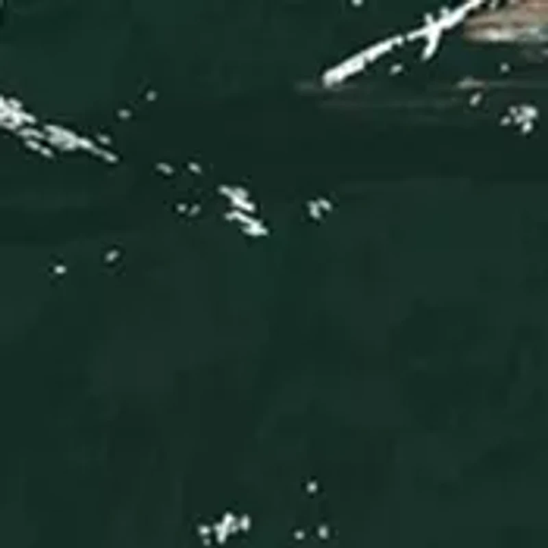 NFL New York Jets Round Distressed Sign