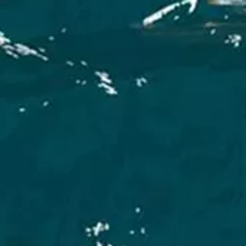 NFL Philadelphia Eagles 24 Inch Round Distressed Sign