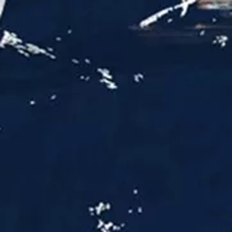 NFL Seattle Seahawks Round Distressed Sign