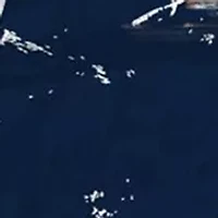 NFL Seattle Seahawks Round Distressed Sign