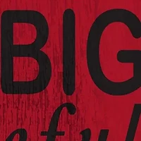 NFL Atlanta Falcons In This House Sign