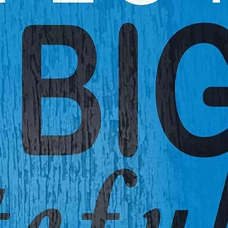 NFL Carolina Panthers In This House Sign