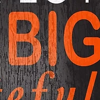 NFL Cincinnati Bengals In This House Sign