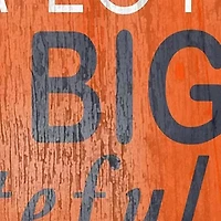 NFL Denver Broncos In This House Sign