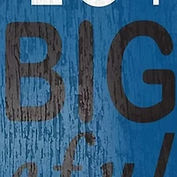 NFL Detroit Lions 11 in x 19 in In This House Sign