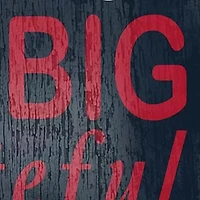 NFL Houston Texans 11 in x 19 in In This House Sign