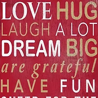 NFL San Francisco 49ers 11 in x 19 in In This House Sign