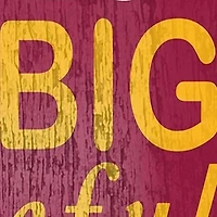 NFL Washington Redskins In This House Sign