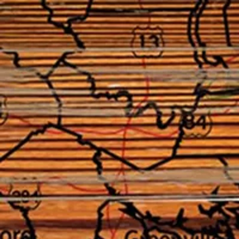 NFL Carolina Panthers Distressed State Cutout Wall Art