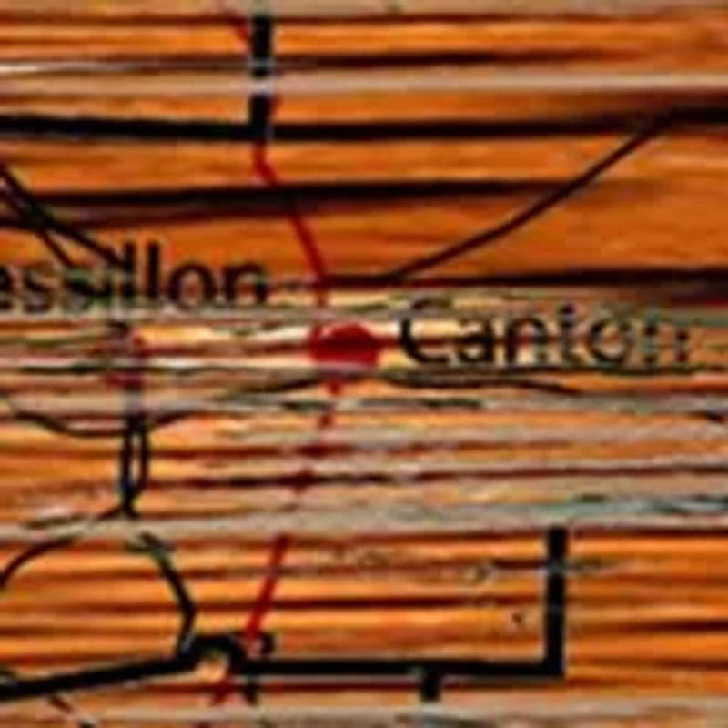 NFL Cleveland Browns 24 in x 24 in Distressed State Sign with Logo