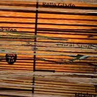 NFL Jacksonville Jaguars Distressed State Cutout Wall Art