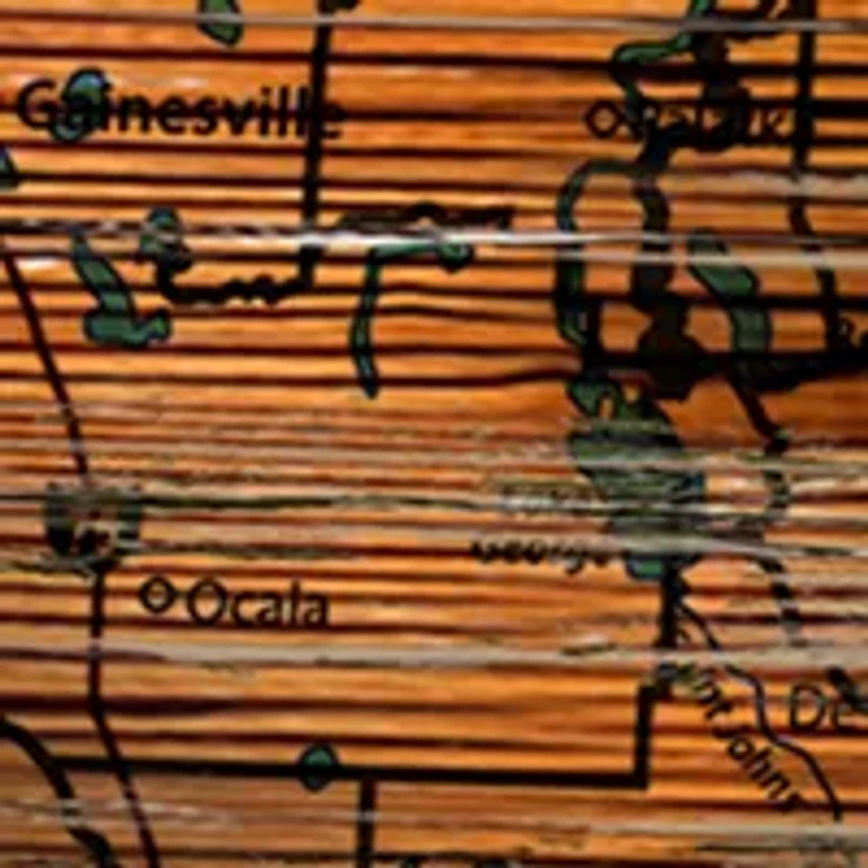 NFL Miami Dolphins Distressed State Cutout Wall Art