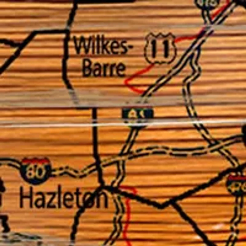 NFL Pittsburgh Steelers Distressed State Cutout Wall Art