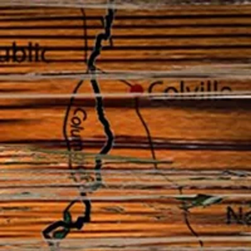 NFL Seattle Seahawks Distressed State Cutout Wall Art