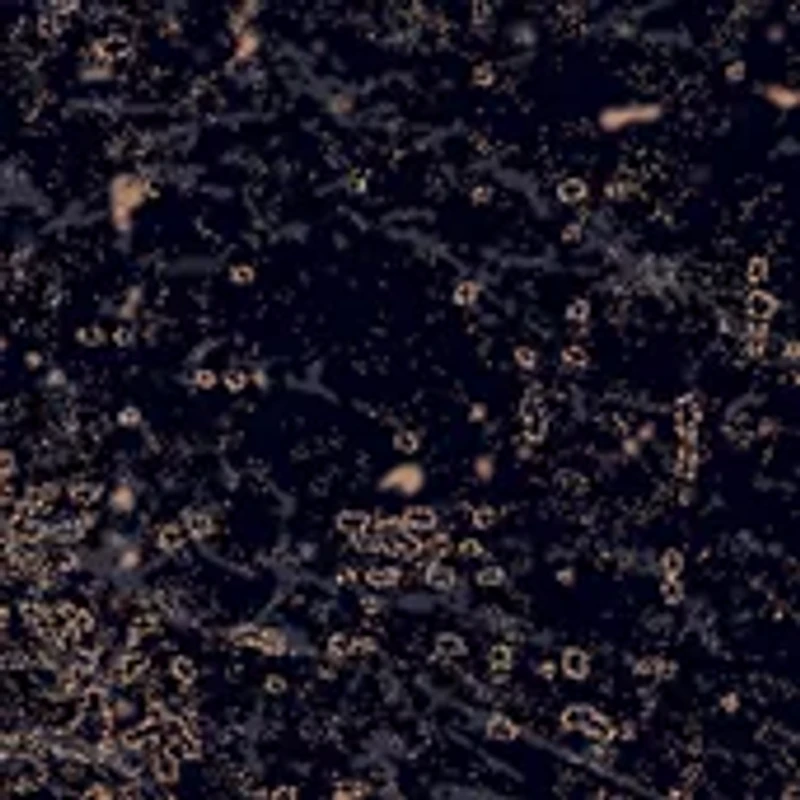 NFL Carolina Panthers Distressed Logo Cutout Sign